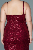 Short Burgundy Plus Size Evening Dress ABK1539