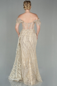 Gold Long Evening Dress ABU2706