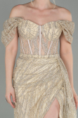 Gold Long Evening Dress ABU2706