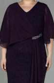 Long Purple Plus Size Evening Dress ABU2857