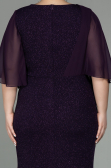 Long Purple Plus Size Evening Dress ABU2857
