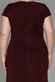 Long Burgundy Plus Size Evening Dress ABU2870