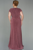 Long Rose Colored Plus Size Evening Dress ABU2870