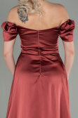 Long Light Brown Satin Evening Dress ABU2903