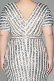 Beige Short Plus Size Evening Dress ABK686
