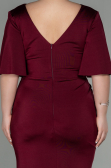 Long Burgundy Plus Size Evening Dress ABU2441