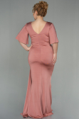 Onion Skin Long Plus Size Evening Dress ABU2441