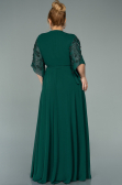 Emerald Green Long Chiffon Plus Size Evening Dress ABU2071
