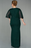 Long Emerald Green Plus Size Evening Dress ABU2857