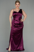 Long Plum Plus Size Evening Dress ABU2932