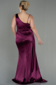 Long Plum Plus Size Evening Dress ABU2932