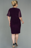 Plum Short Chiffon Plus Size Evening Dress ABK1299