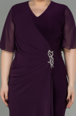 Plum Short Chiffon Plus Size Evening Dress ABK1299