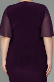 Plum Short Chiffon Plus Size Evening Dress ABK1299