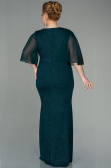 Long Emerald Green Plus Size Evening Dress ABU2857