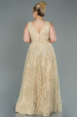 Long Gold Plus Size Evening Dress ABU2537
