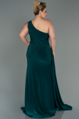 Long Emerald Green Plus Size Evening Dress ABU3132