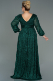 Long Emerald Green Plus Size Evening Dress ABU3154