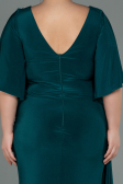 Long Emerald Green Plus Size Evening Dress ABU3173