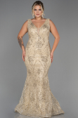 Long Gold Plus Size Evening Dress ABU3214