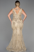 Long Gold Plus Size Evening Dress ABU3214