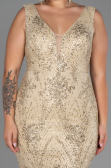 Long Gold Plus Size Evening Dress ABU3214