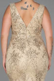 Long Gold Plus Size Evening Dress ABU3214