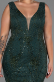 Long Emerald Green Plus Size Evening Dress ABU3214