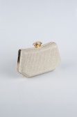 Light Gold Night Bag SH812