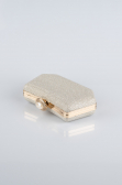 Light Gold Night Bag SH812