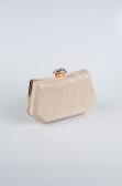 Rose Night Bag SH812