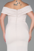 Beige Long Plus Size Evening Dress ABU3172