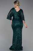 Emerald Green Long Plus Size Evening Dress ABU900