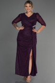 Long Purple Plus Size Evening Dress ABU3279