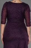 Long Purple Plus Size Evening Dress ABU3279