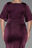 Long Plum Plus Size Evening Dress ABU3282