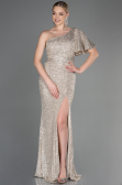 Long Mink Mermaid Evening Dress ABU1891