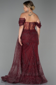 Long Burgundy Plus Size Evening Dress ABU3097