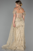 Gold Long Plus Size Evening Dress ABU3097