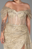Gold Long Plus Size Evening Dress ABU3097