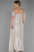 Long Mink Scaly Plus Size Evening Dress ABU2973