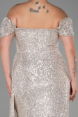 Long Mink Scaly Plus Size Evening Dress ABU2973