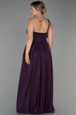 Long Dark Purple Plus Size Evening Dress ABU3289