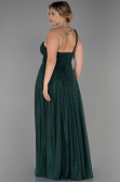 Long Emerald Green Plus Size Evening Dress ABU3289