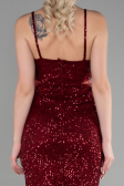 Short Burgundy Evening Dress ABK1541