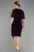 Dark Purple Short Chiffon Plus Size Evening Dress ABK1299