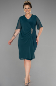 Emerald Green Short Chiffon Plus Size Evening Dress ABK1299