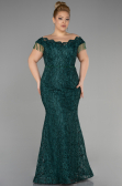 Emerald Green Long Laced Plus Size Evening Dress ABU3435