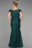 Emerald Green Long Laced Plus Size Evening Dress ABU3435