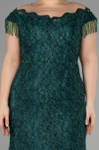 Emerald Green Long Laced Plus Size Evening Dress ABU3435